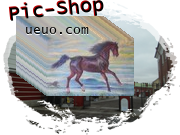  PIC-SHOP 